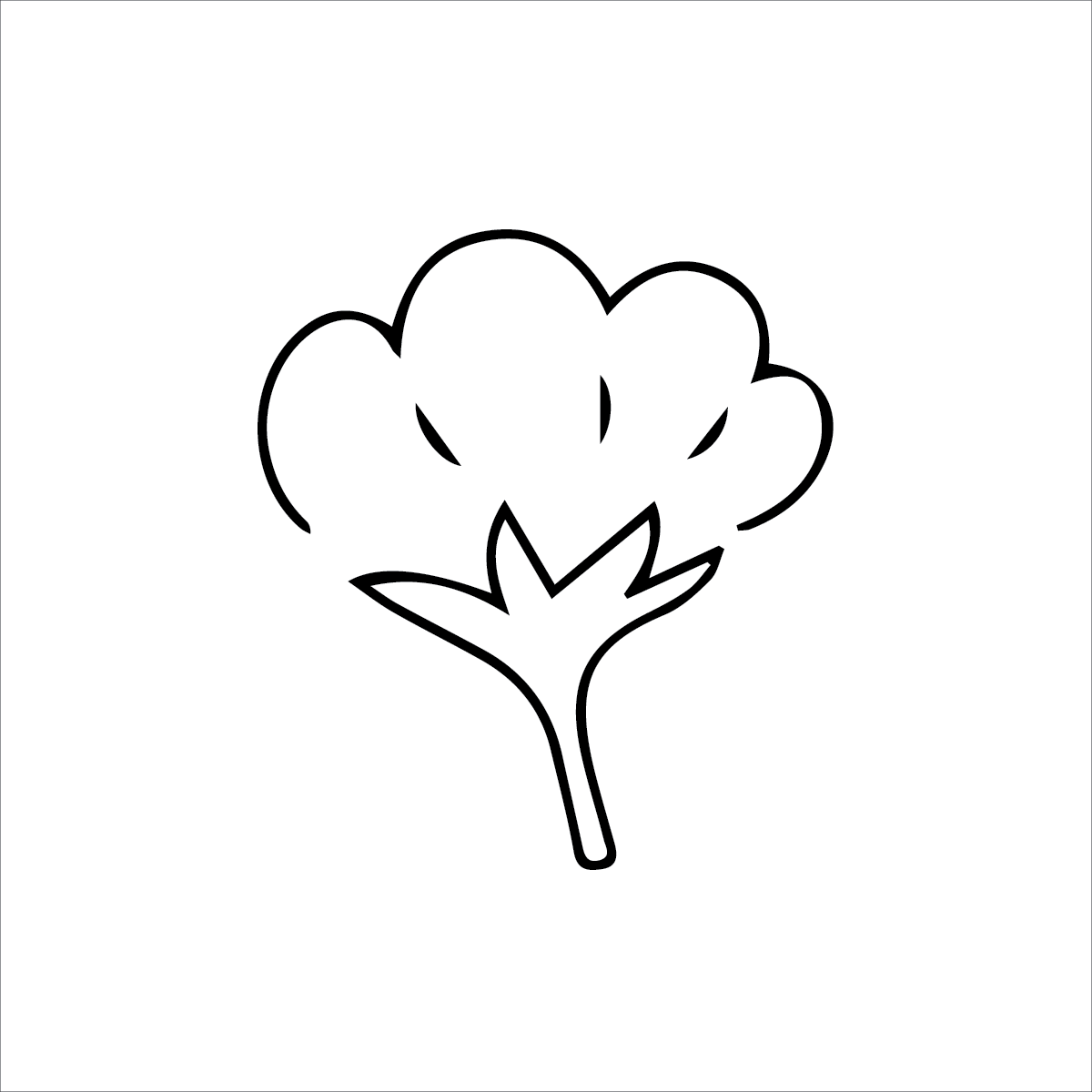 100% Cotton – Pure &amp; Gentle