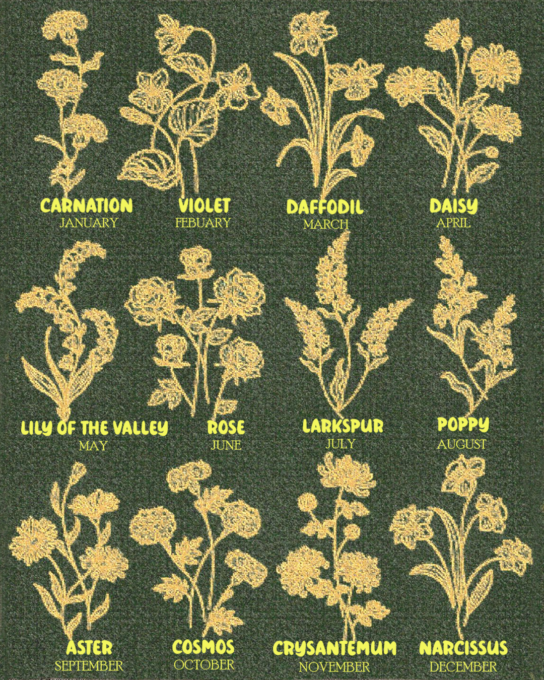 Wrapped In Luck: Birth Month Flower & Good Fortune - Personalized Woven Blanket