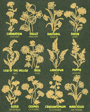 Wrapped In Luck: Birth Month Flower & Good Fortune - Personalized Woven Blanket