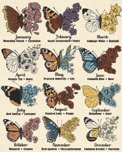 Personalized Family Birth Month Flower & Butterfly Woven Blanket